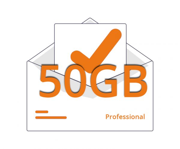 Casella Email Professional 50gb