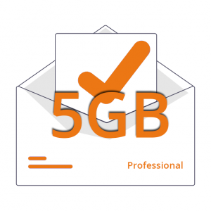 Casella Email Professional 5gb